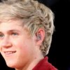 Přichází Niall Horan :D